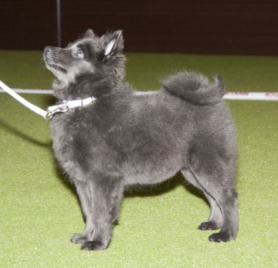 Photo (aged 14 weeks) by Nicky Garbutt